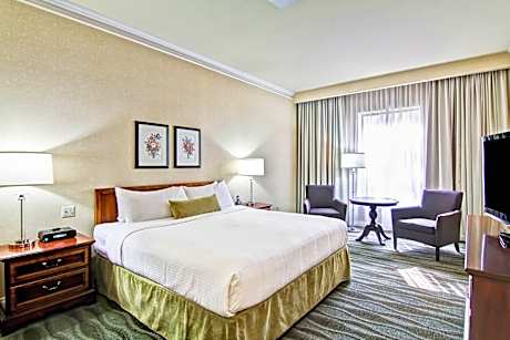 1 Bedroom Junior Suite, 1 King, Low floor