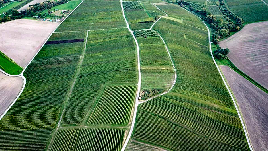 Pension Breitenauer See