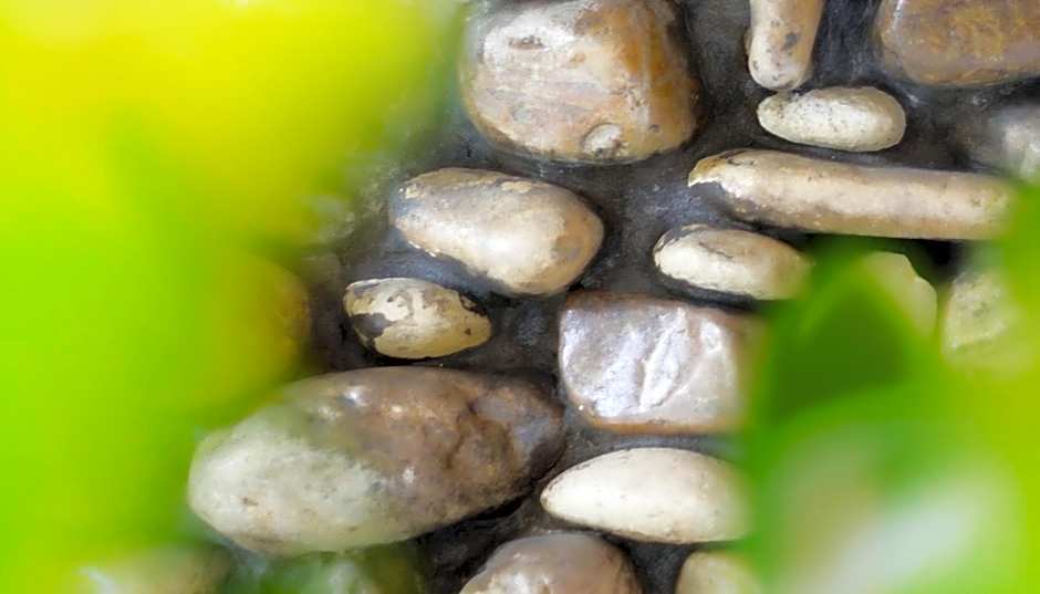 Hotel Aria di Mare - Bed & Brunch in centro a Riccione