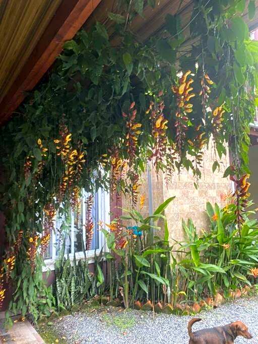 Refúgio Vila da Glória