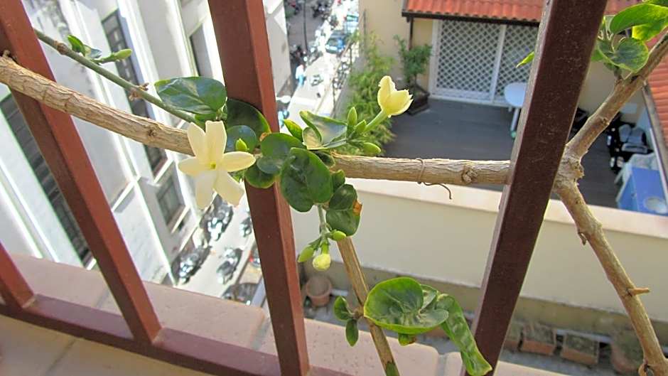 International Naples