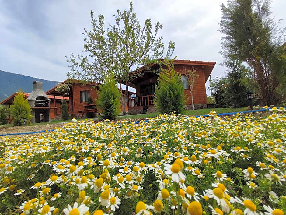 Hurmalik Aparts & Bungalows - Family Bungalows - Large Garden Bungalow with Barbecue