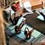 Mayan Monkey Hotel & Hostel Tulum