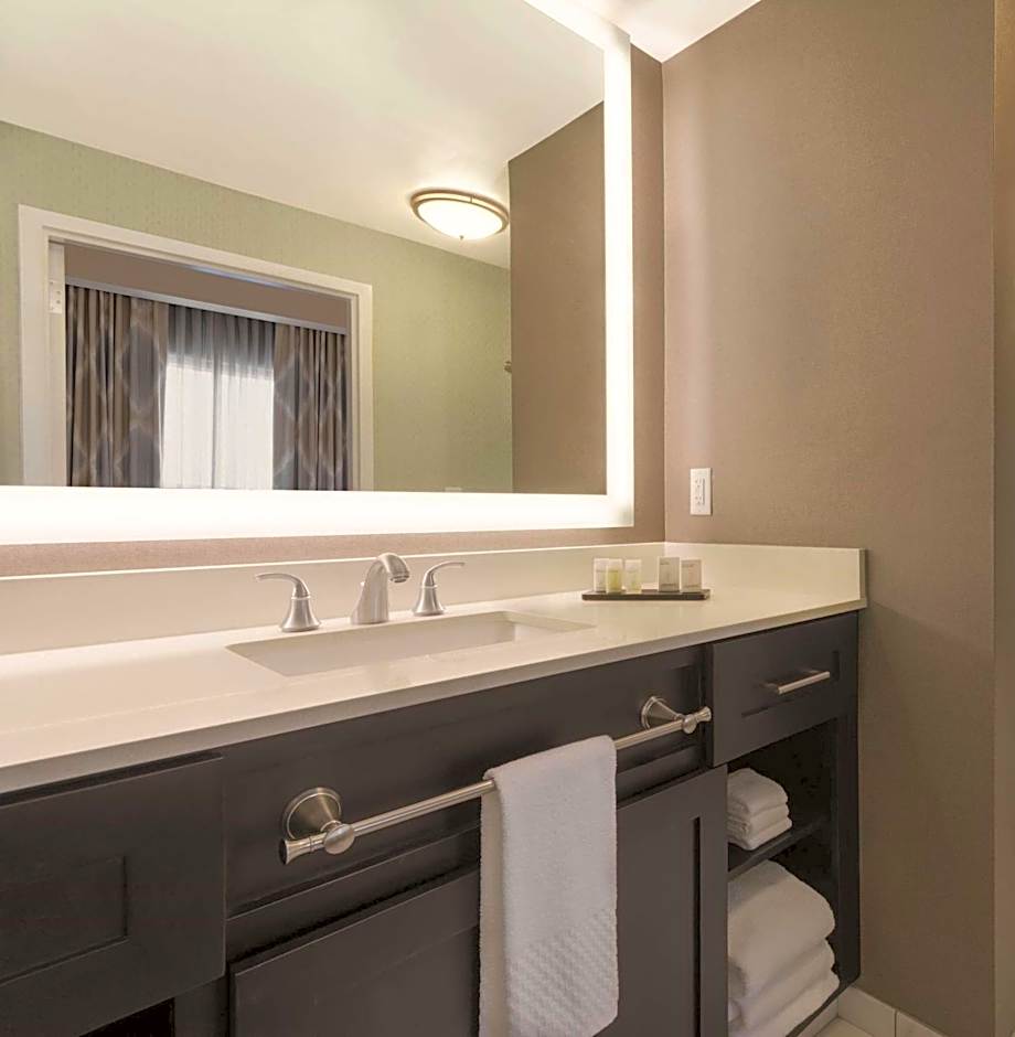 Embassy Suites by Hilton Tuscaloosa Alabama Downtown