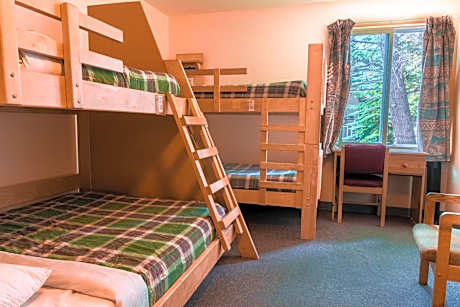 Bed in 4-Bed Mixed Dormitory Room with Private Bathroom