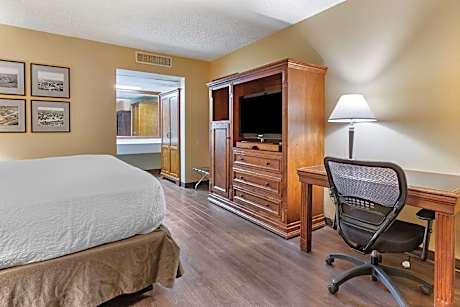 King Room - Pet Friendly/Non-Smoking
