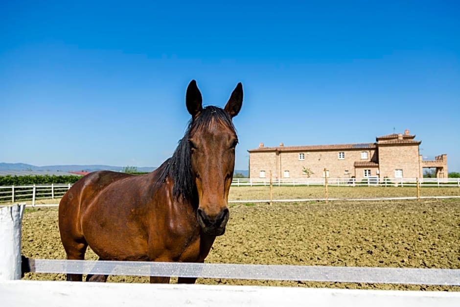 Podere San Giuseppe