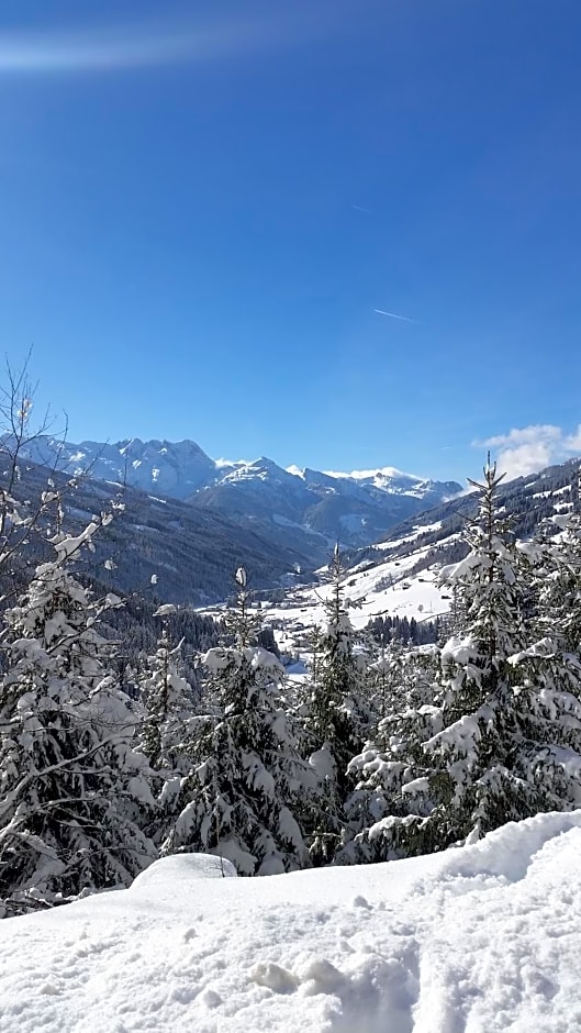 alpenrose hotel-garni