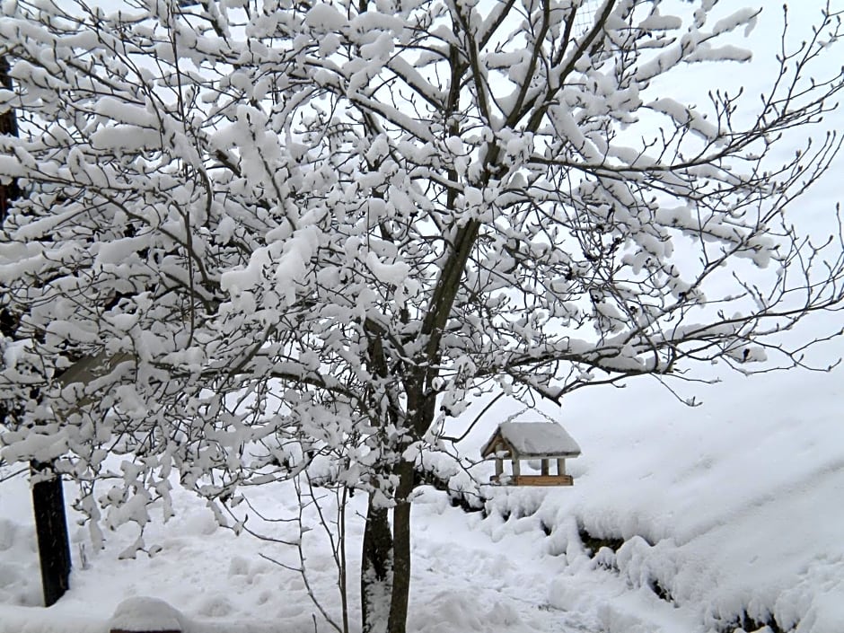 Buchschneider - Ferienhaus Maier - Landhof