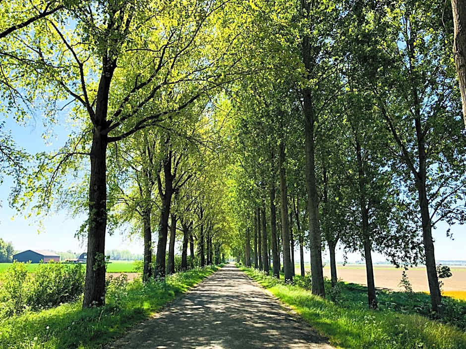Slapen bij de Zeeuwse Lala