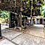 Las Mariposas Hotel & Studios