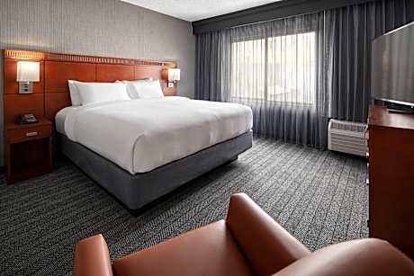 One-Bedroom King Suite with Sofa Bed and Balcony - Hearing Accessible