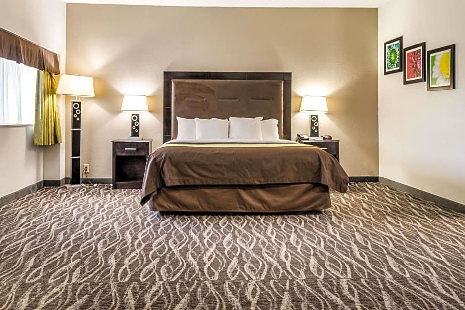 Comfort Inn Downtown Charleston