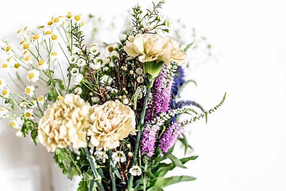 Borgo dei Gatti Albergo Diffuso & spa