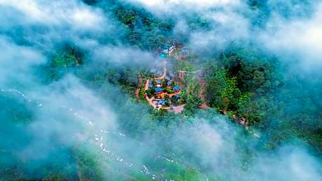 Silent Brook Resort - Coorg