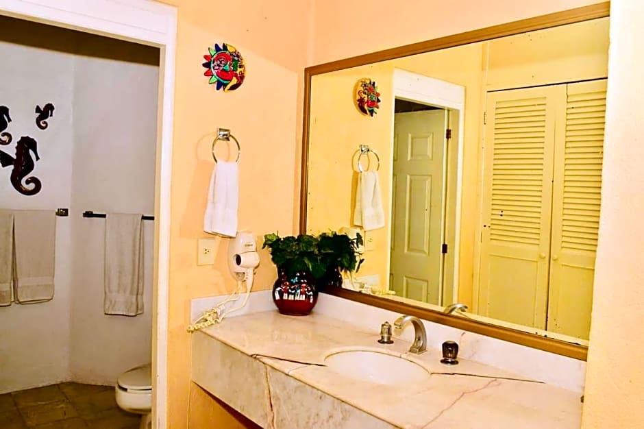 VILLA PARA 8p 6A 2M dentro del HOTEL a un costado del Krystal IXTAPA cuenta con playa y WIFI