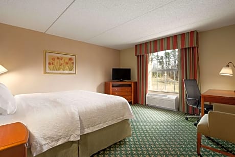 1 King Bed Nonsmoking