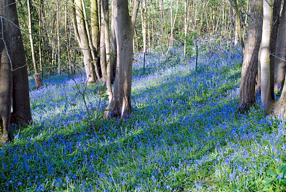 Chambres d'hôtes La Tribu