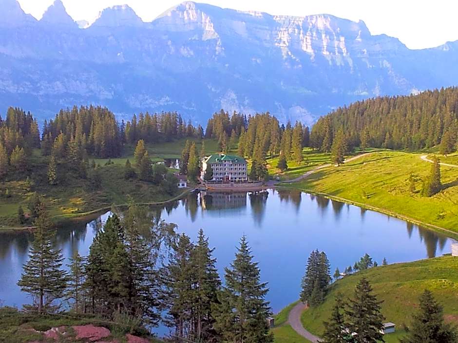 Hotel Tannenboden - Steinbock