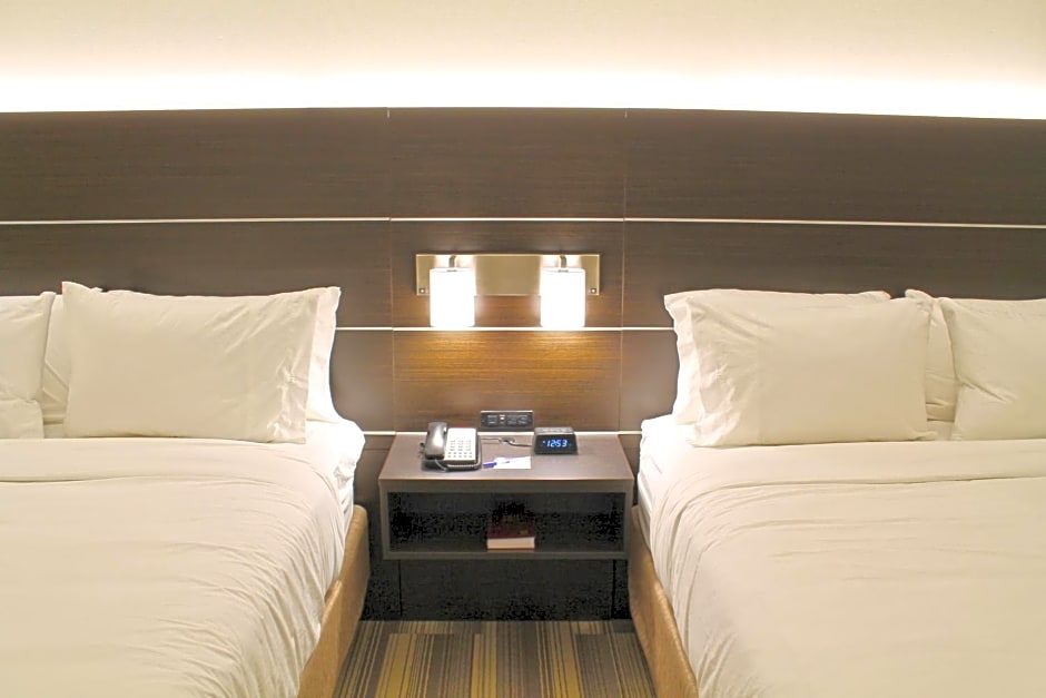 Holiday Inn Express & Suites St. Louise South I-55 By IHG