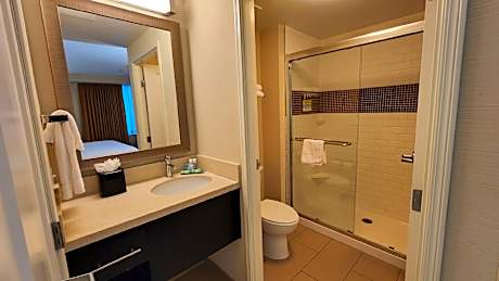Studio Suite 1 King Hearing Accessible Non-Smoking