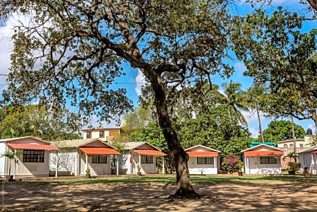Queen Room with Garden View