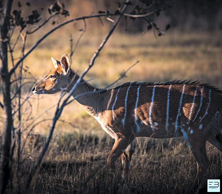 Geluksfontein Private Game Farm