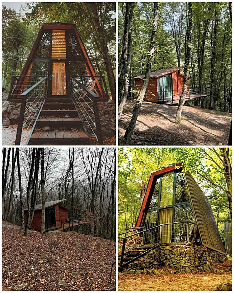 Eco Village In The Forest