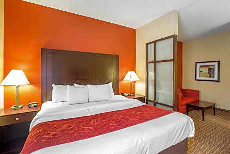 1 King Bed, Suite, No Smoking