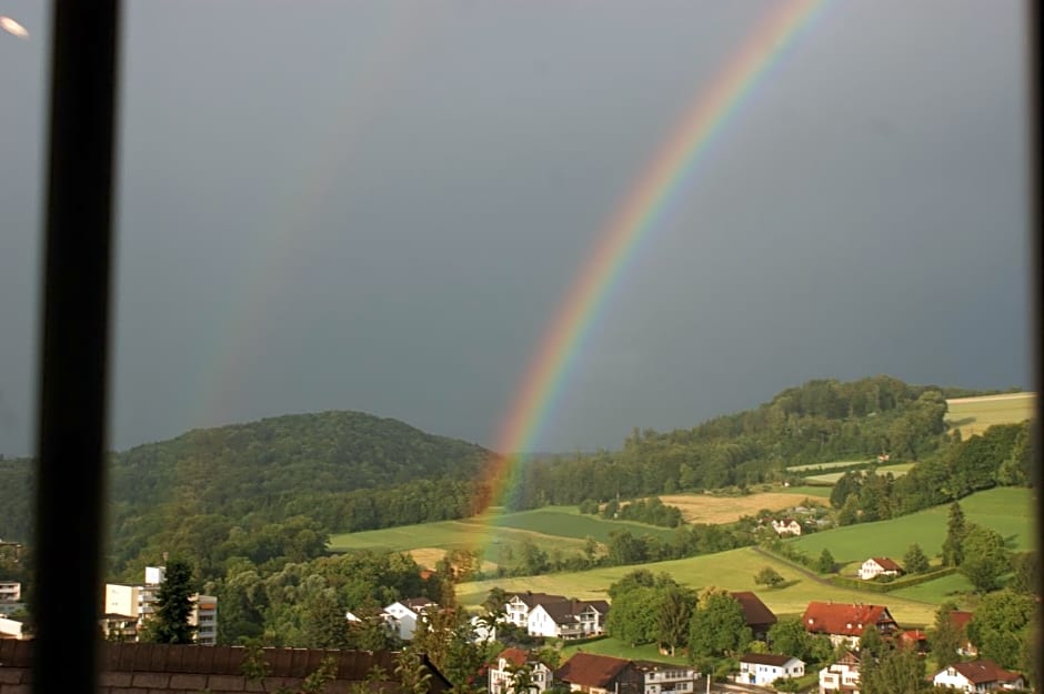 Ferienwohnung und B&B Chasa Janett