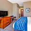 Comfort Inn & Suites Lynchburg Airport - University Area