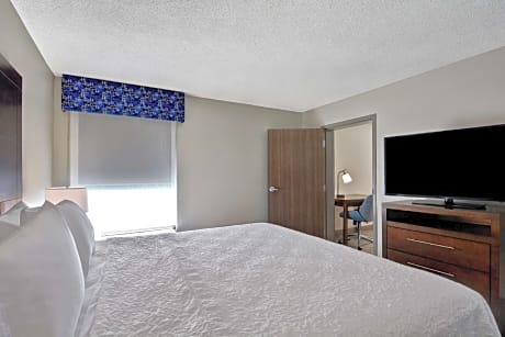 1 King 1 Bedroom Suite with Sofabed Non-Smoking