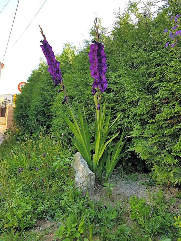 O Refuxio de la Jerezana