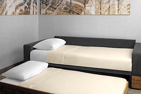 Studio with King Bed, High Floor, Transfer Shower and Trundle Sofa - Mobility Access/Hearing Accessible