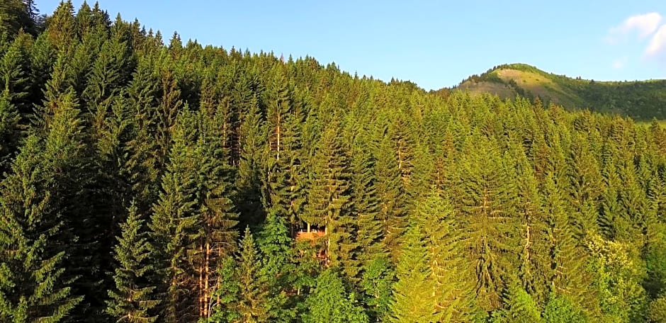 Cabane entre terre et ciel