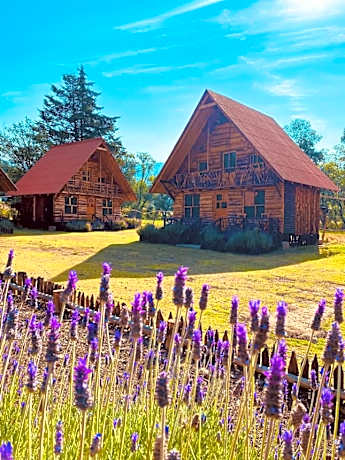 Cabañas La Palma
