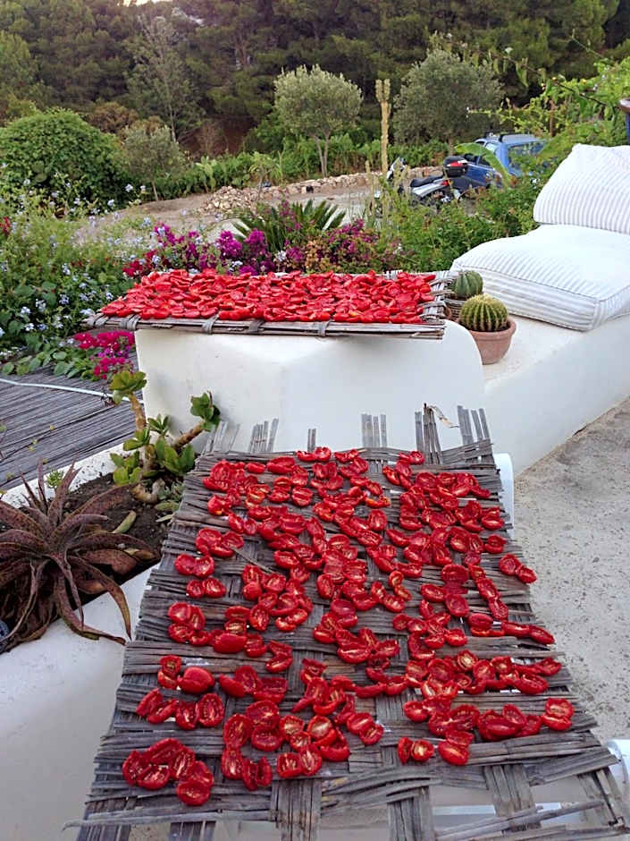 B&B Al Salvatore Di Lipari