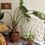 Riad NaaNaa Bed & Breakfast