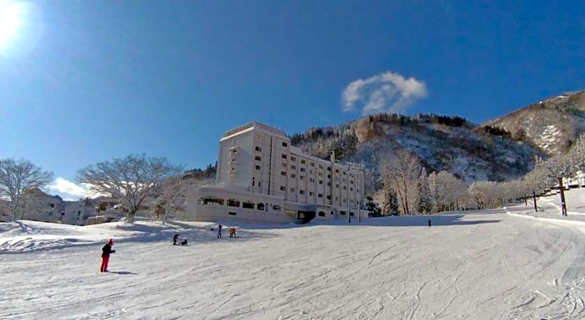 Yuzawa Toei Hotel