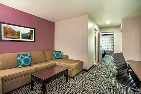 Deluxe Family Suite - Non-Smoking