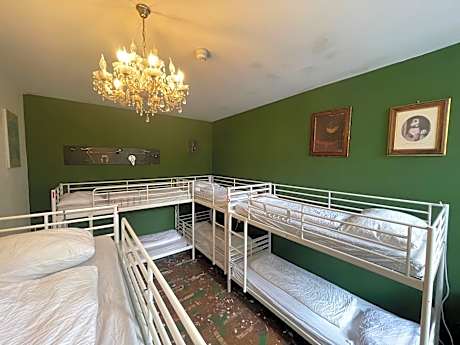 Bed in 10-Bed Mixed Dormitory Room