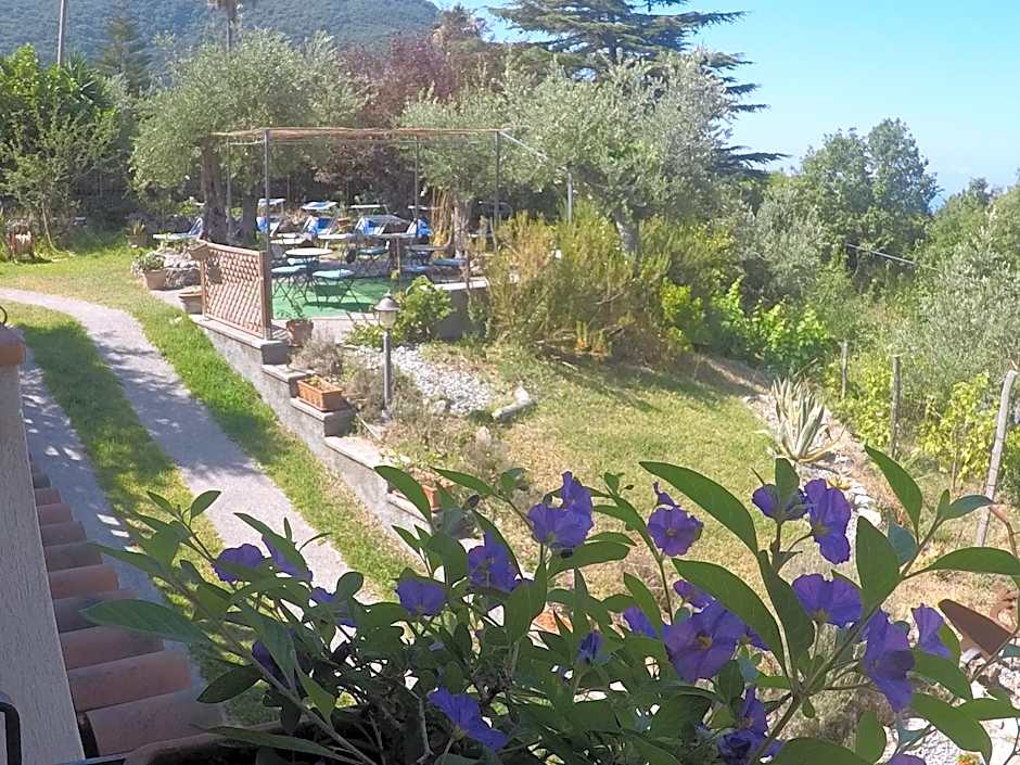 B&B da Maria Teresa - Maratea