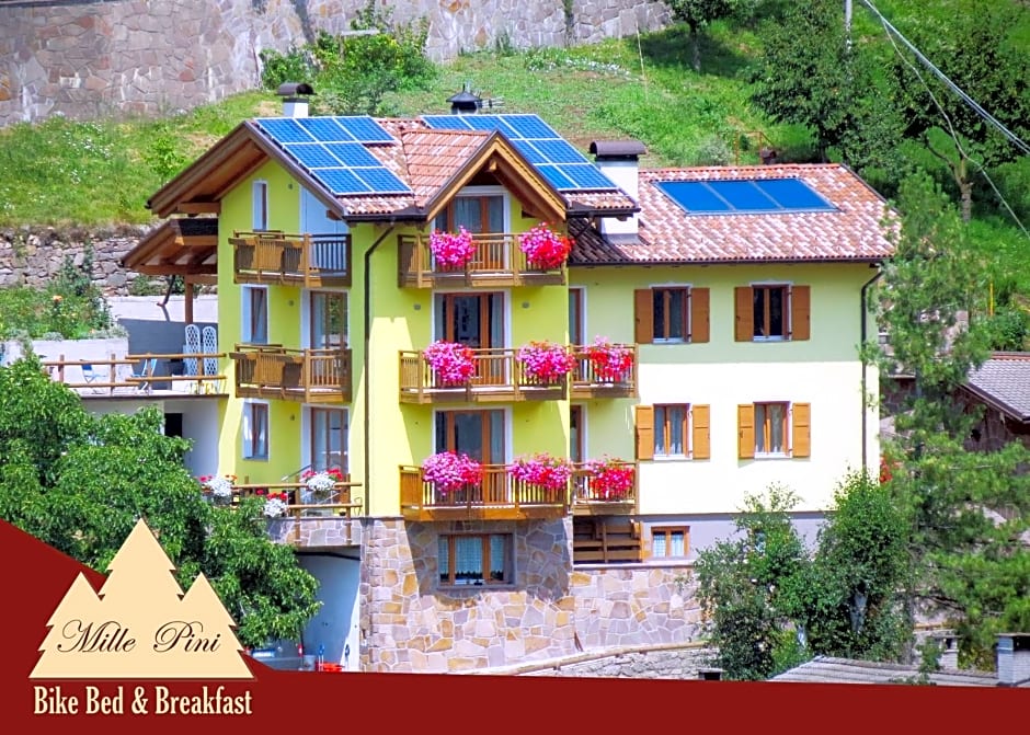 Bike Bed&Breakfast Mille Pini