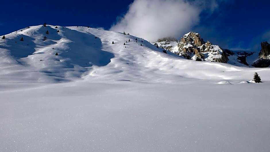 Belvedere Dolomites Flower Hotel