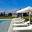 Laqua Vineyard