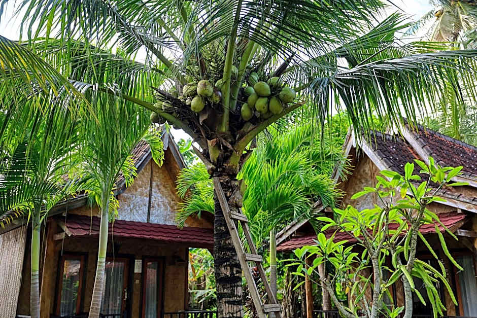 Kubu Artha Bungalow Nusa Penida