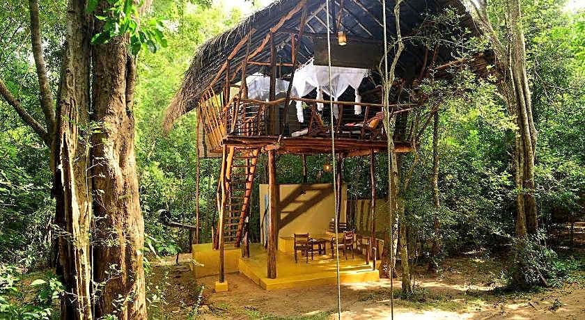 Back of Beyond Pidurangala