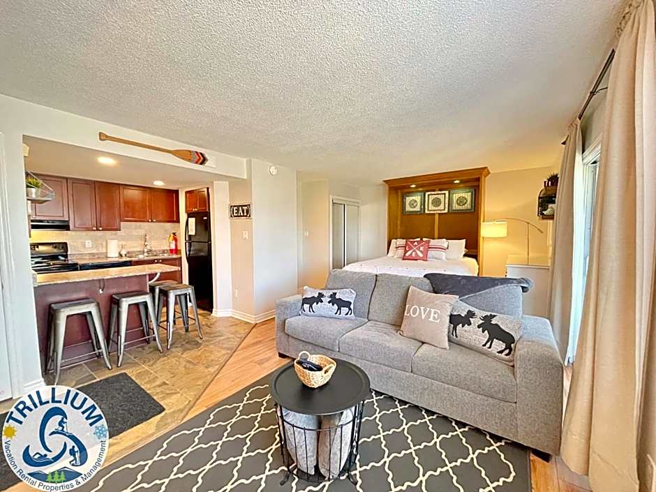 Modern Mountainside Ski In/Ski Out Studio at Blue