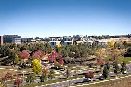 One-Bedroom King Suite with Sofa Bed