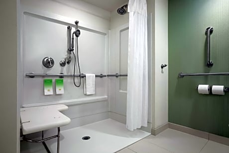 1 Queen Accessible Roll in Shower Studio Non-Smoking